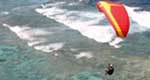 奄美　観光　パラグライダー　上空からみた海